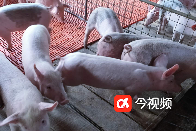 平均24.32%！你买的基金“及格”了吗？