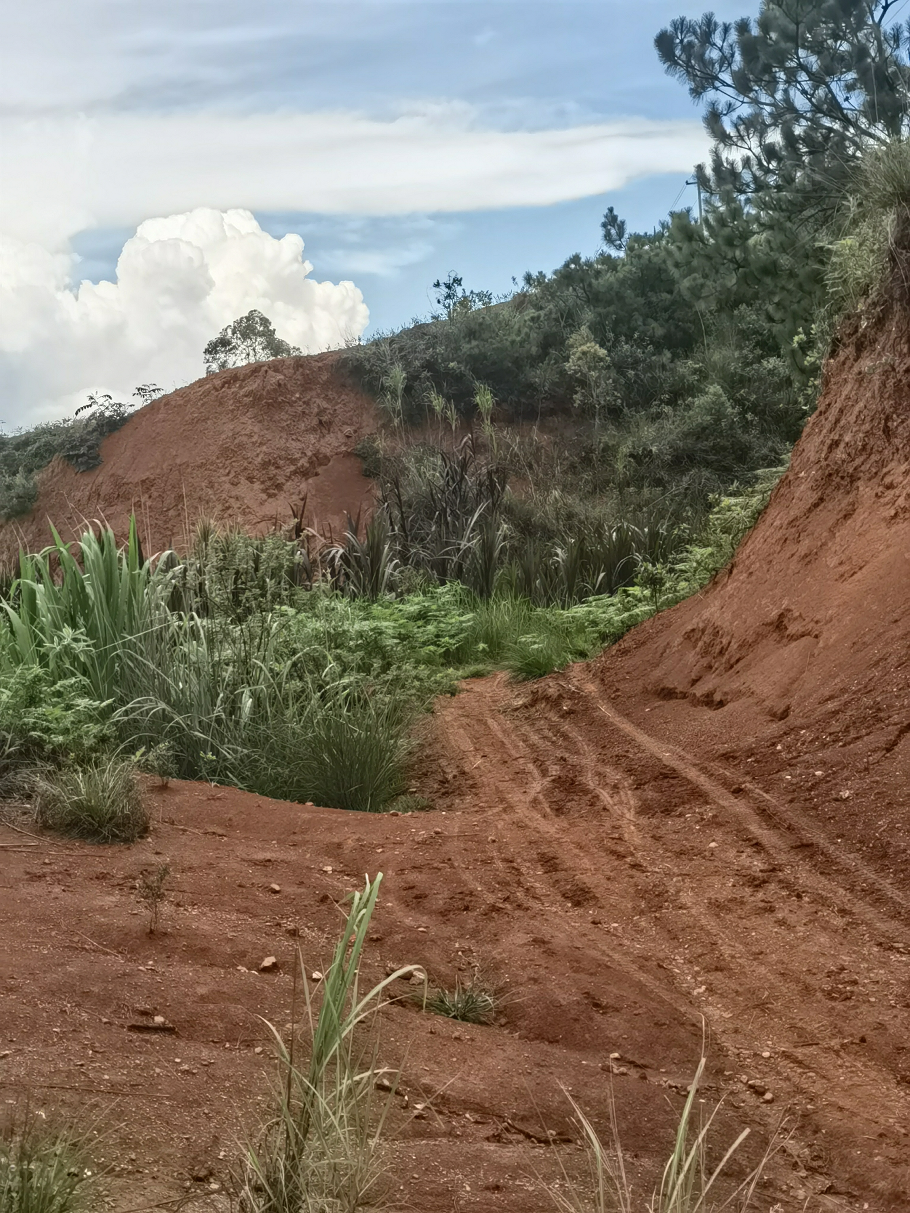 述评：杭州灵隐飞来峰免费开放 将还湖于民进行到底