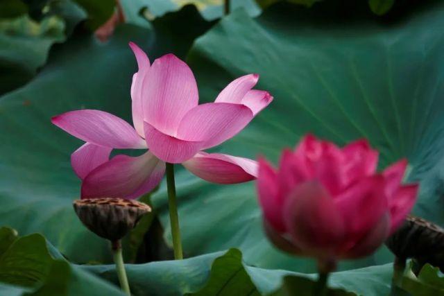 从皇家贡桔到世界名片：南丰蜜桔如何穿越千年成“百亿顶流”？