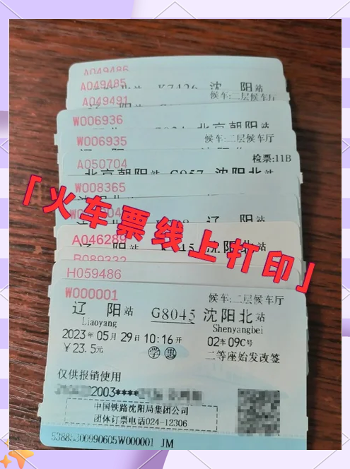 外国人入境卡在线填报新政落地 外籍旅客点赞“指尖上的便利”