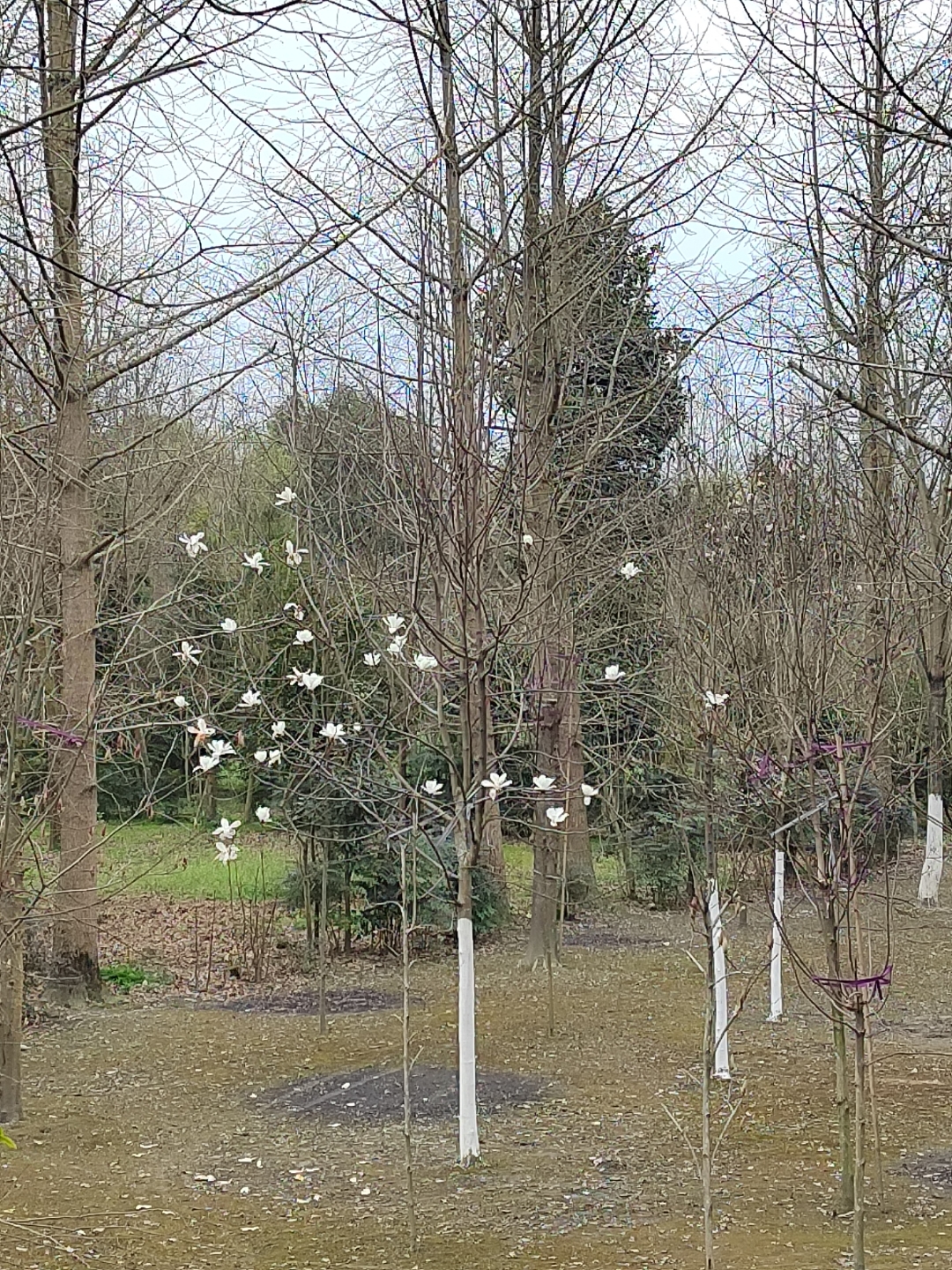 中国国家卫健委：警惕健康科普等领域滥用人工智能情形