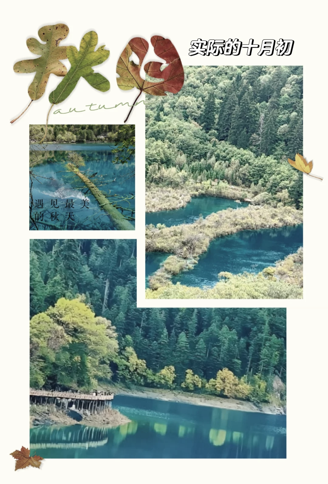 九寨沟景区年度游客突破700万人次