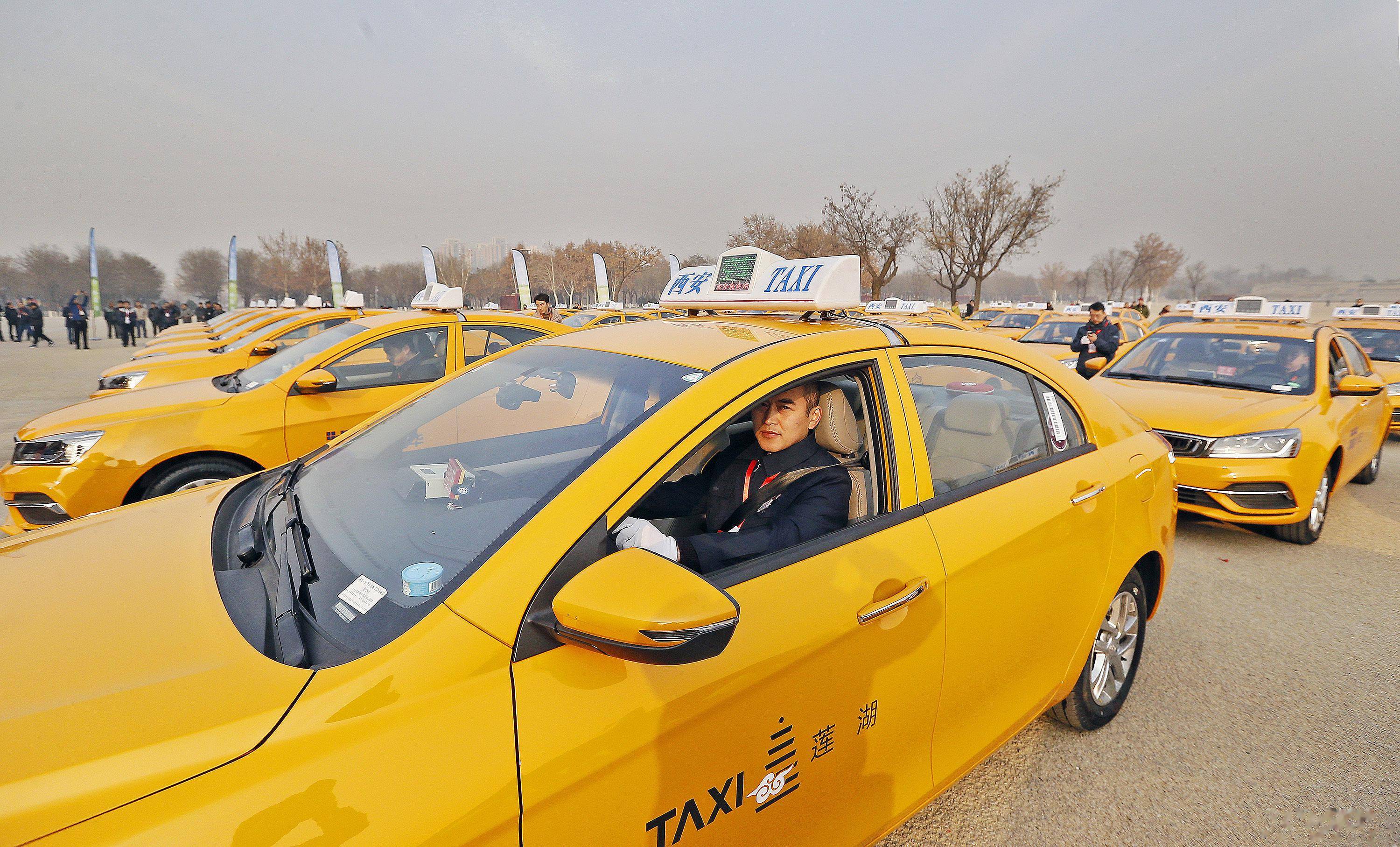 2025电动汽车产业:不再“靠补贴续命”,而是“靠价值赚钱”_人保服务,人保财险