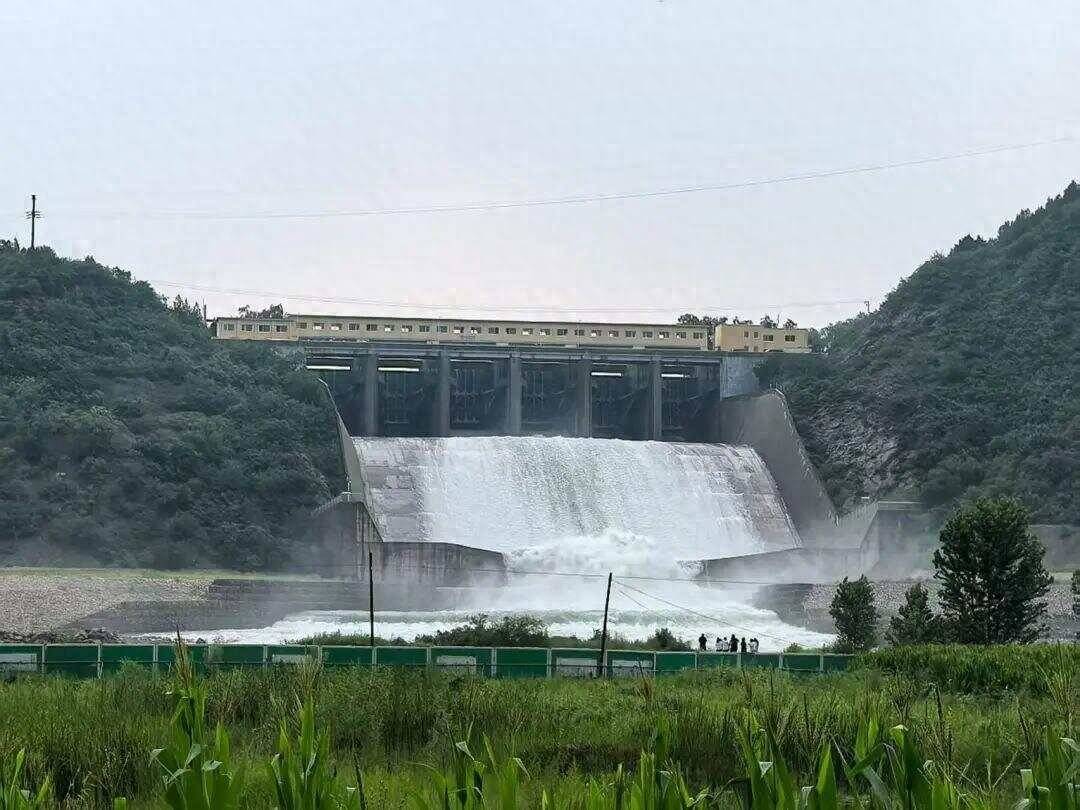 北京密云水库迎候鸟先头部队 多措并举保障顺利迁徙