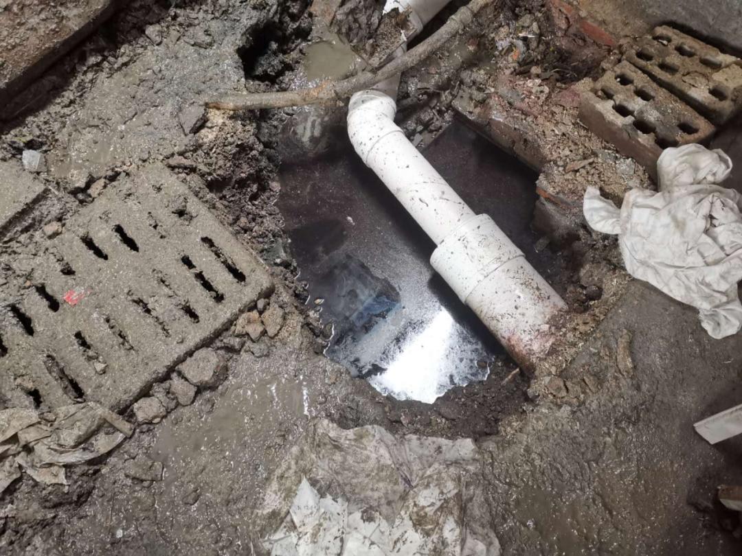 重庆大渡口区茄子溪港长江水体变黑 官方通报：污水已基本切断