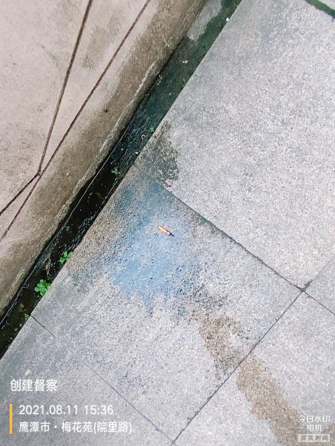 重庆大渡口区茄子溪港长江水体变黑 官方通报：污水已基本切断