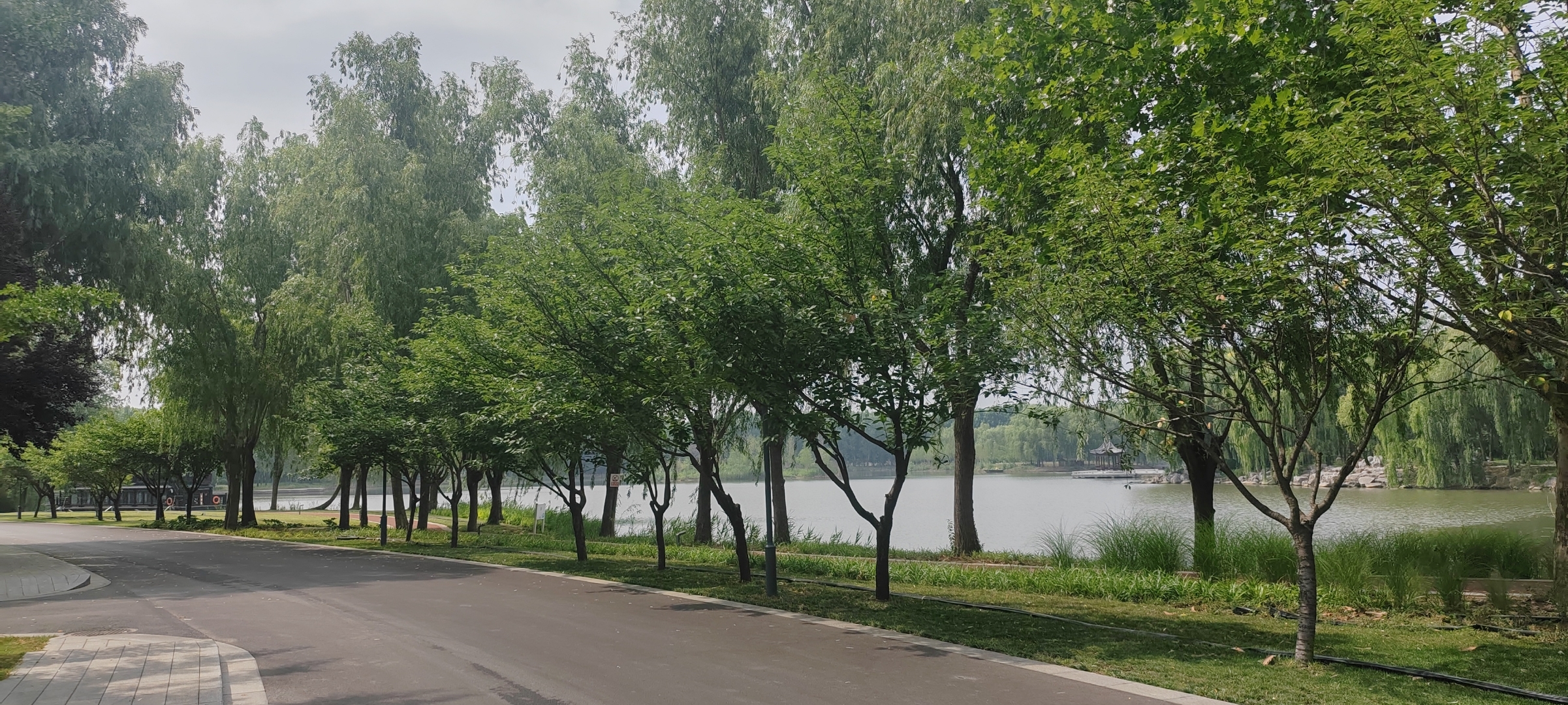 山东省临沂市政协副主席张艳丽接受监察调查