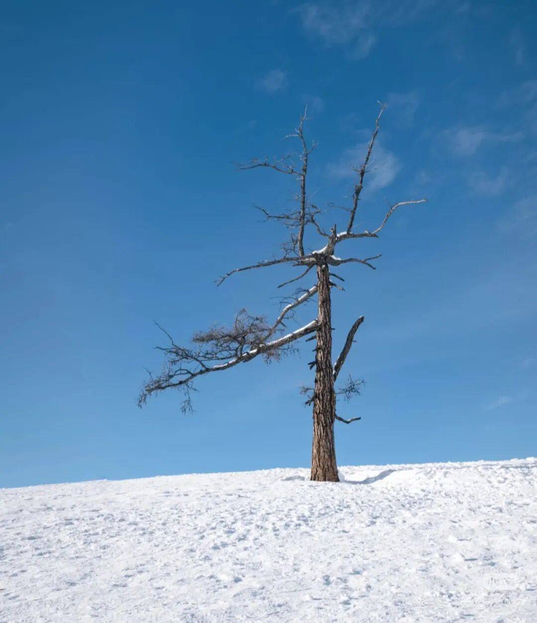 新疆将迎首个雪假 “解锁”中小学假期新模式