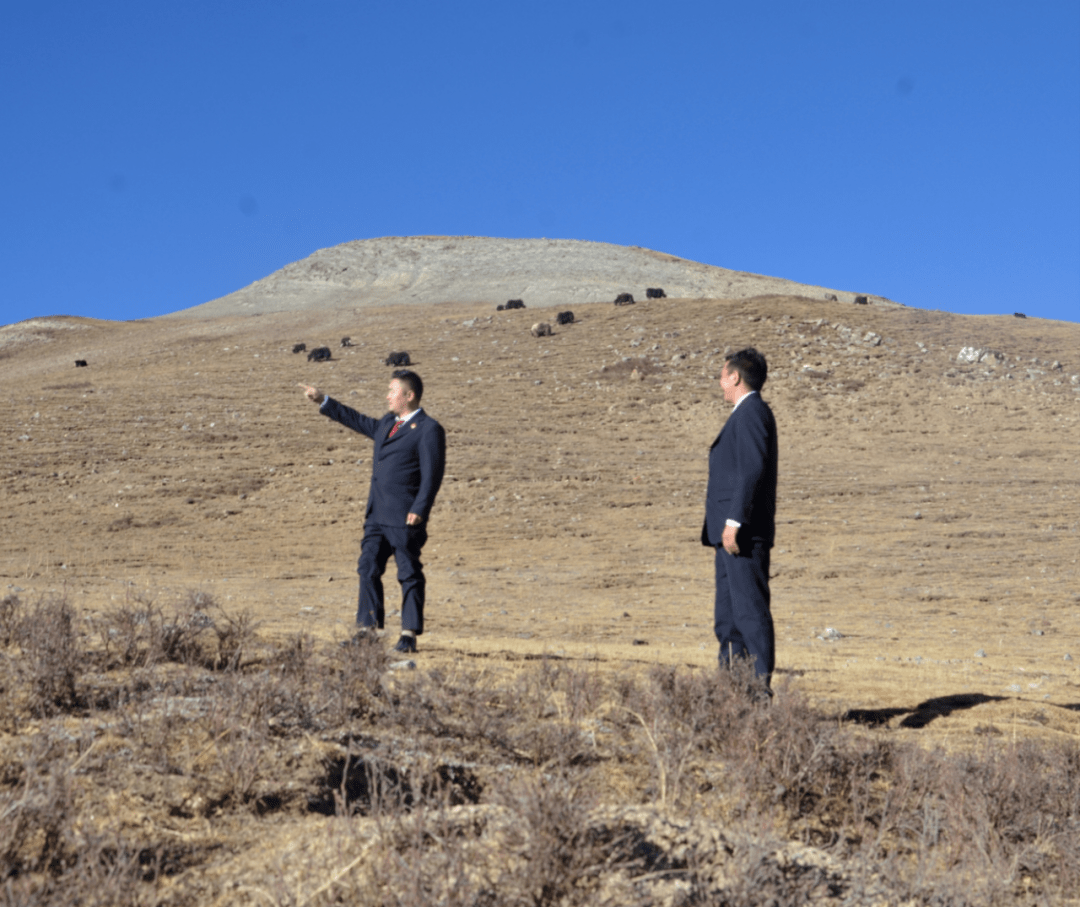 青海省人民检察院依法对田明有决定逮捕