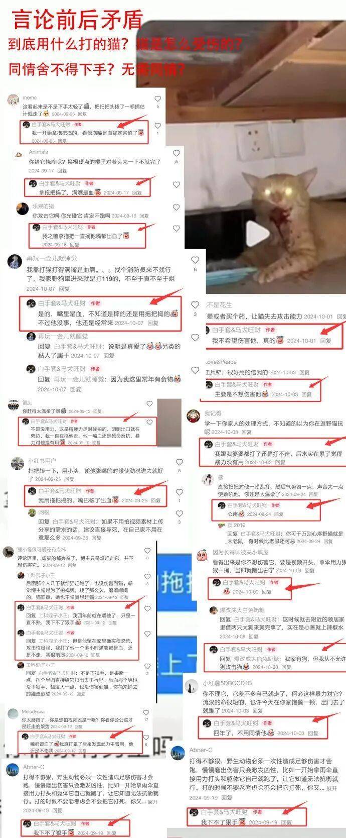 被指玩虐猫梗不尊重女性，零食品牌滇二娃道歉