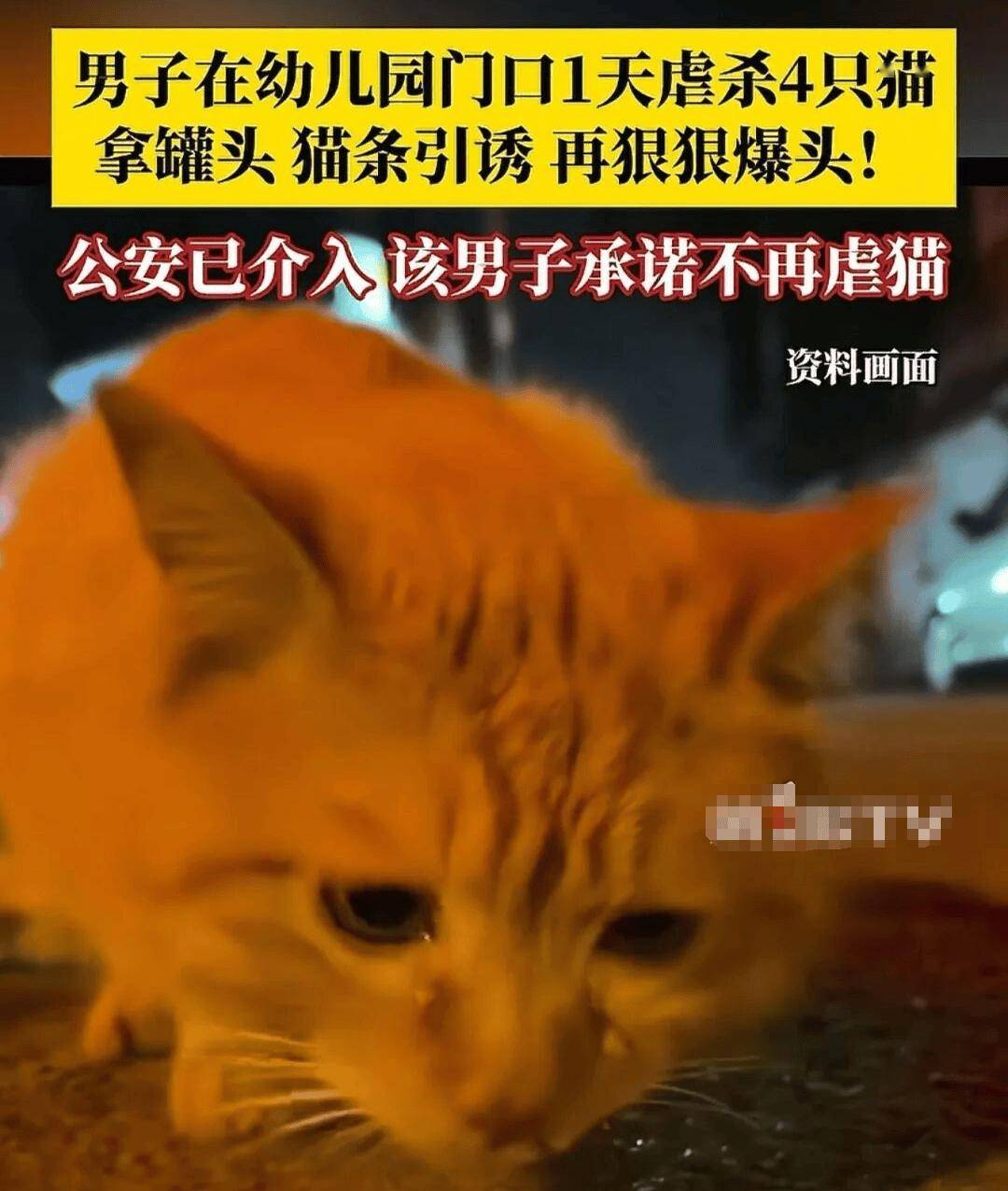被指玩虐猫梗不尊重女性，零食品牌滇二娃道歉