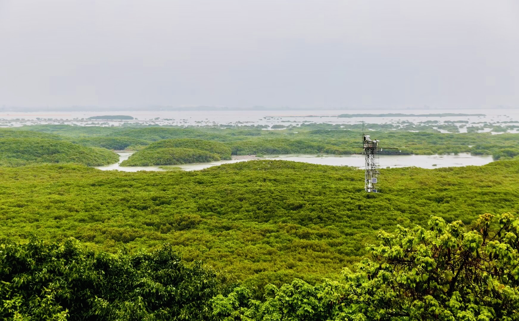 中国长江经济带保护区生态系统稳定性和持续性有效提升