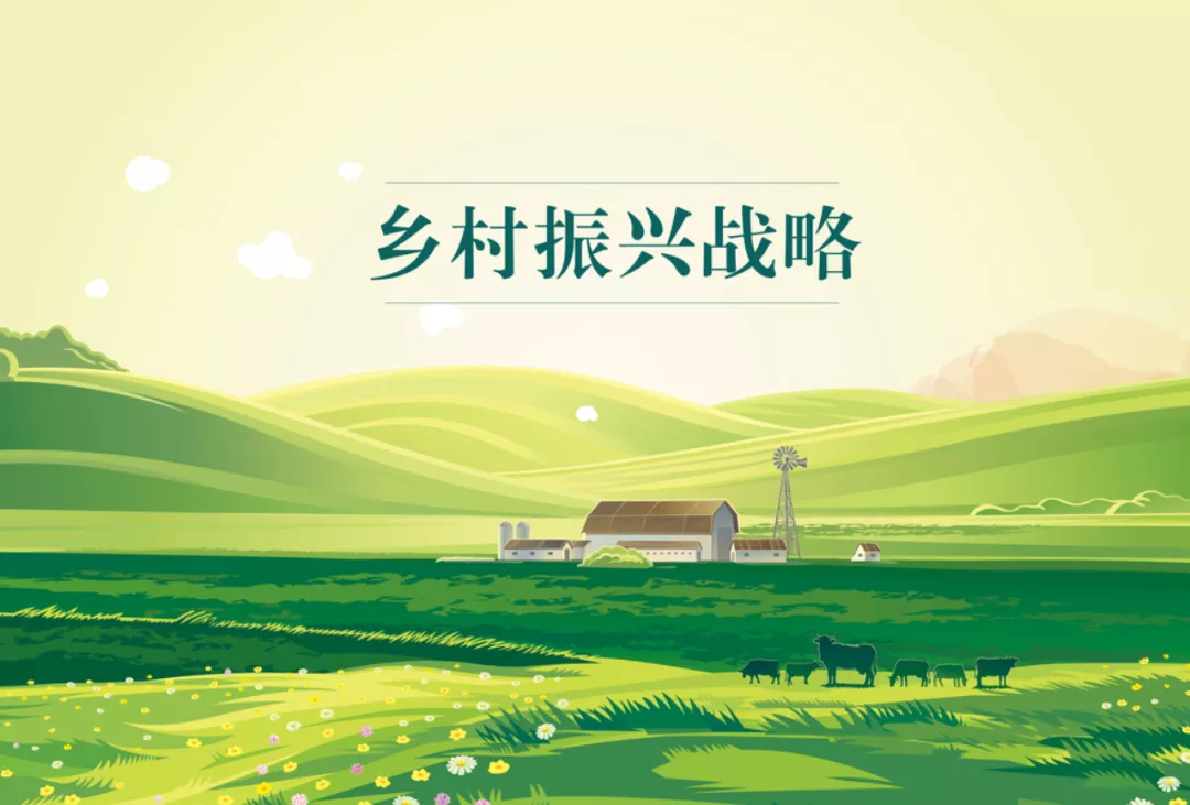 （乡村行・看振兴）江西玉山“小辣椒”点燃乡村振兴“红火”图景