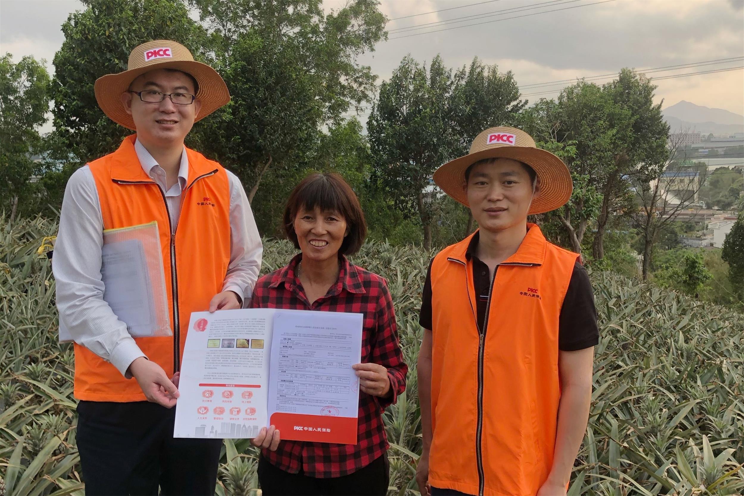 医药产业的“基石稳固”原料药如何保障质量与供应稳定性?_人保服务,人保伴您前行