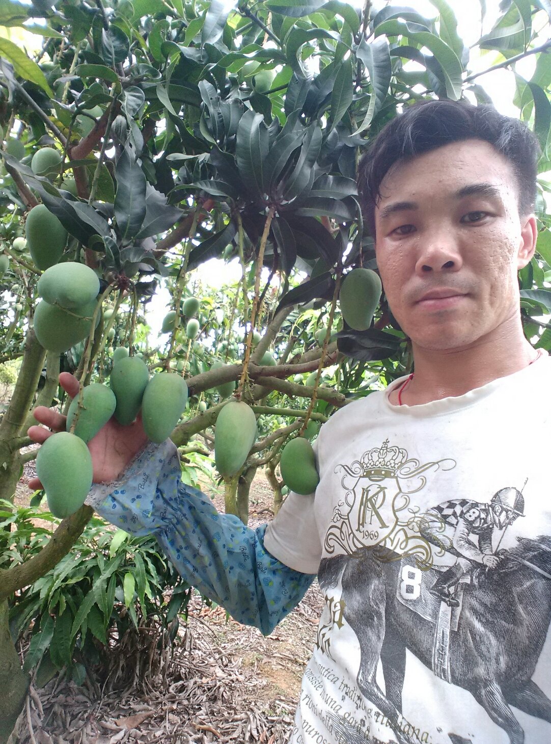 广西壮族自治区百色市田东县委原书记欧阳可爽被“双开”