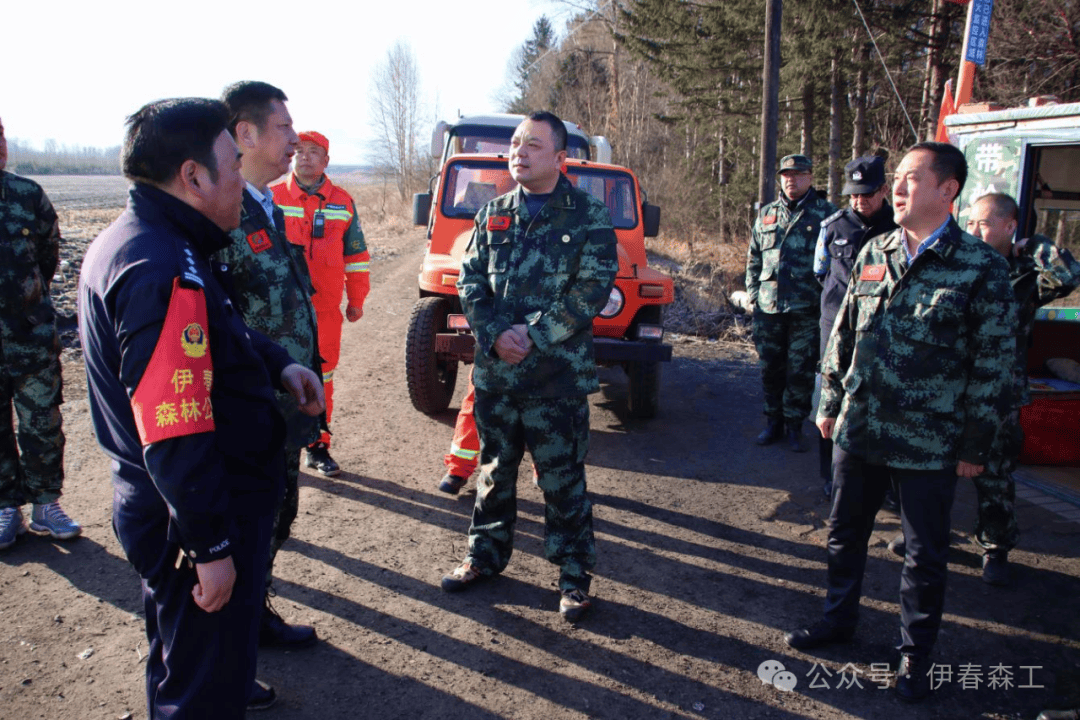 黑龙江伊春森工集团有限责任公司原总经理杨公伟被“双开”