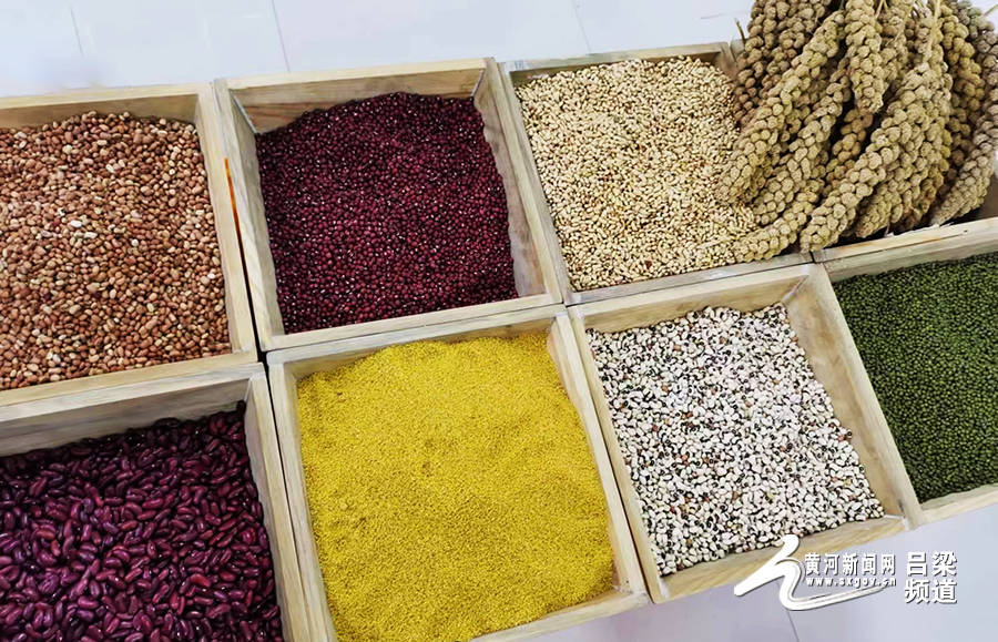 （乡村行・看振兴）山西长子：小杂粮加工“金钥匙” 开启乡村增收新路径