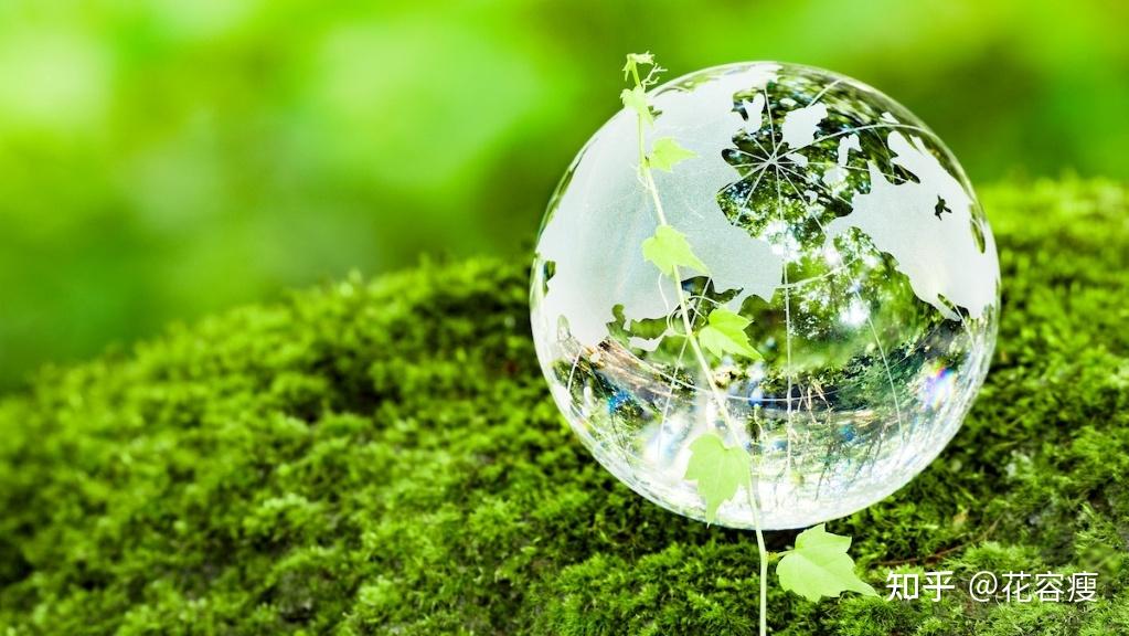 纸箱行业行业战略洞察 包装材料绿色转型成本结构与客户接受度_人保财险政银保 ,人保财险 