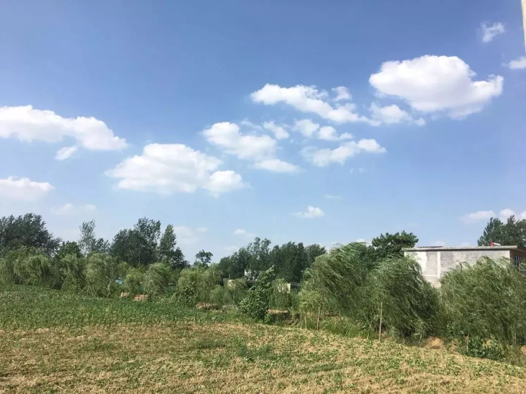 2025人脑工程行业:供给侧“两座山”变“一条河”_人保服务 ,人保护你周全