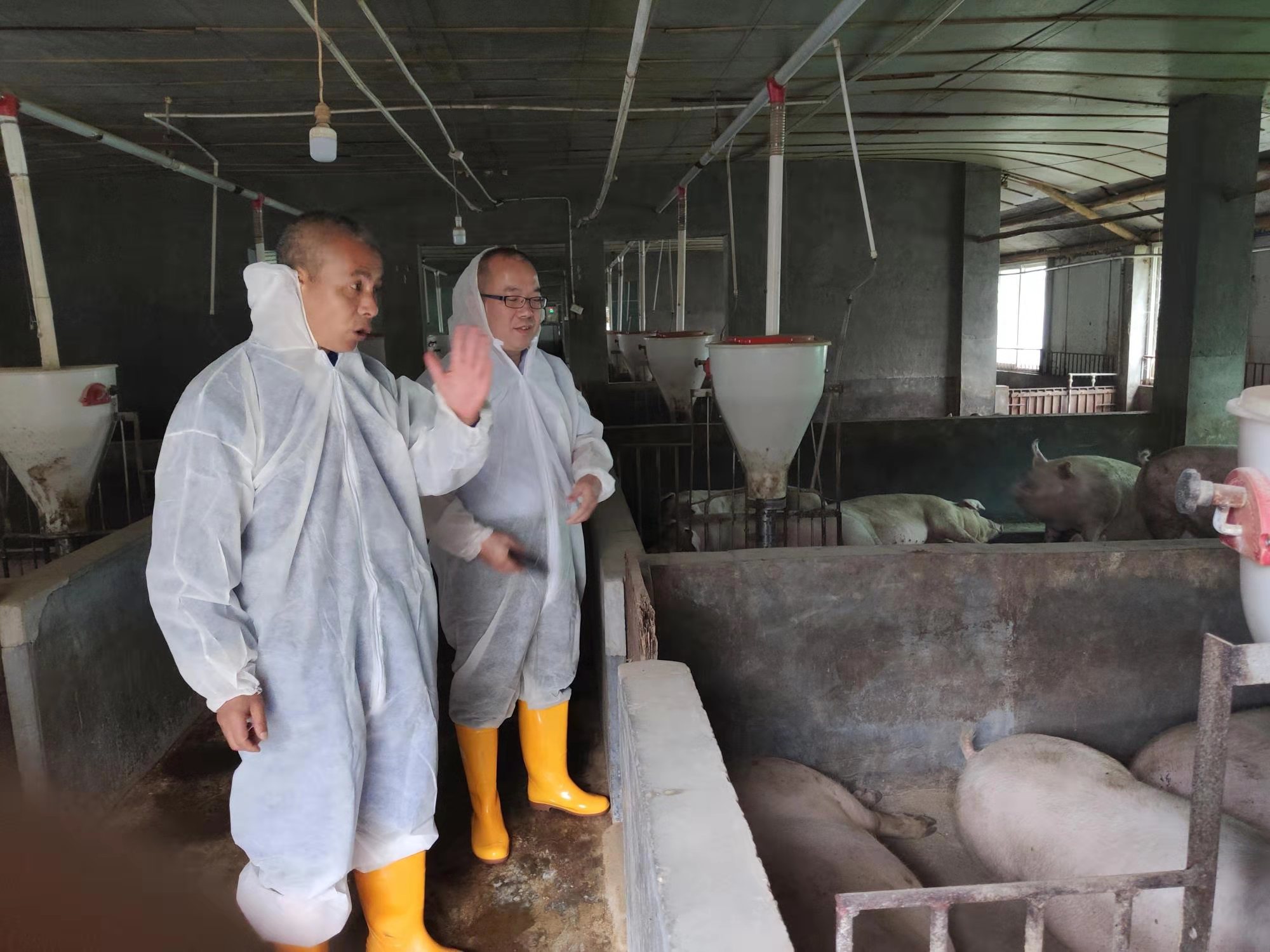 烘焙纸行业现状与发展趋势分析_人保财险政银保 ,人保护你周全