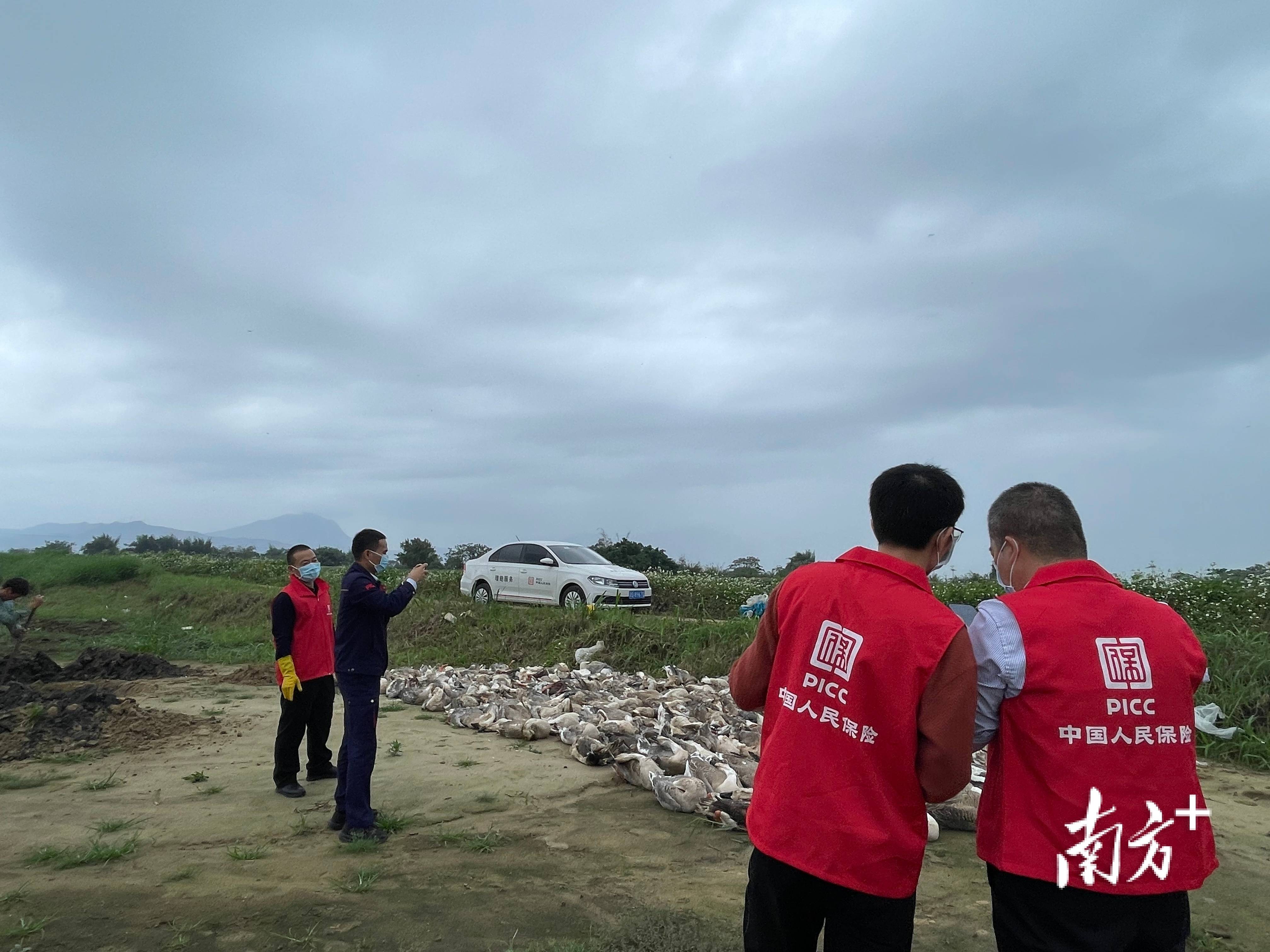 人保财险政银保 ,人保车险_2026-2030年中国喷绘机行业：UV喷墨与环保印刷技术投资