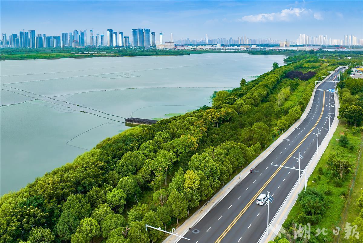 拥有“如意行”驾乘险，出行更顺畅！,人保财险 _乳胶漆行业现状与发展趋势分析