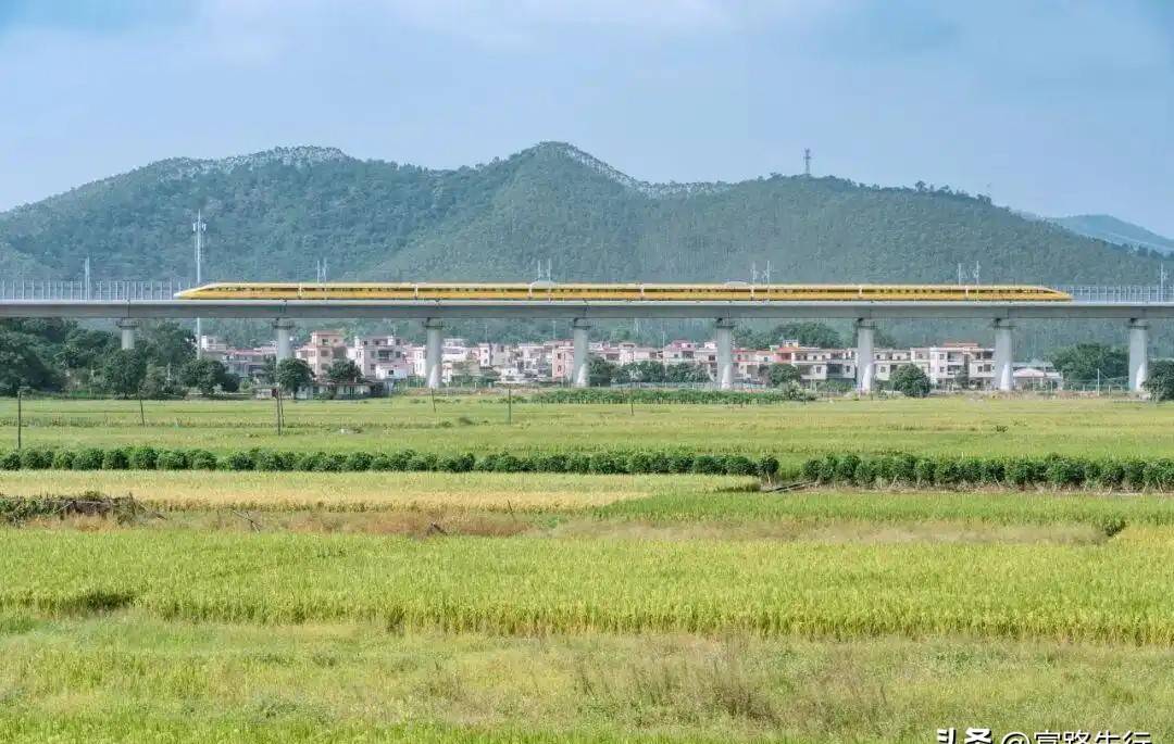 广州至湛江高铁12月22日建成通车
