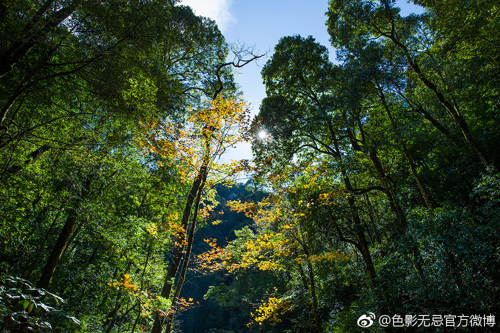云南新平通报“哀牢山荒野求生赛事”：实为综艺类节目