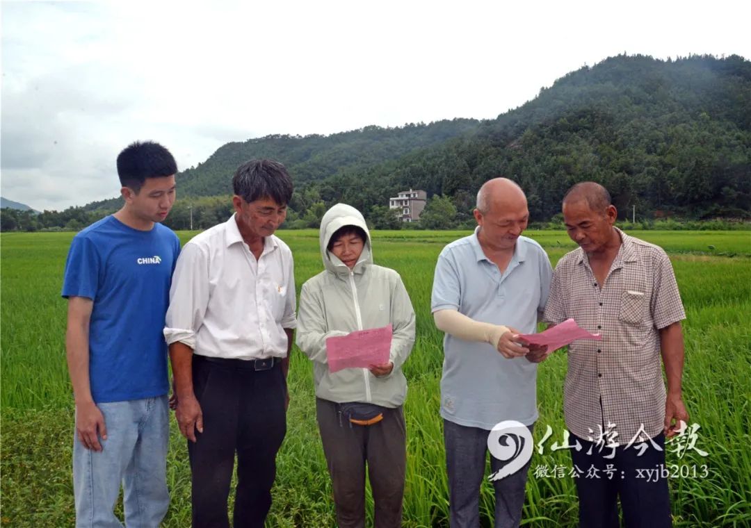 中国高校科研人员找到水稻细菌病害防控新路径