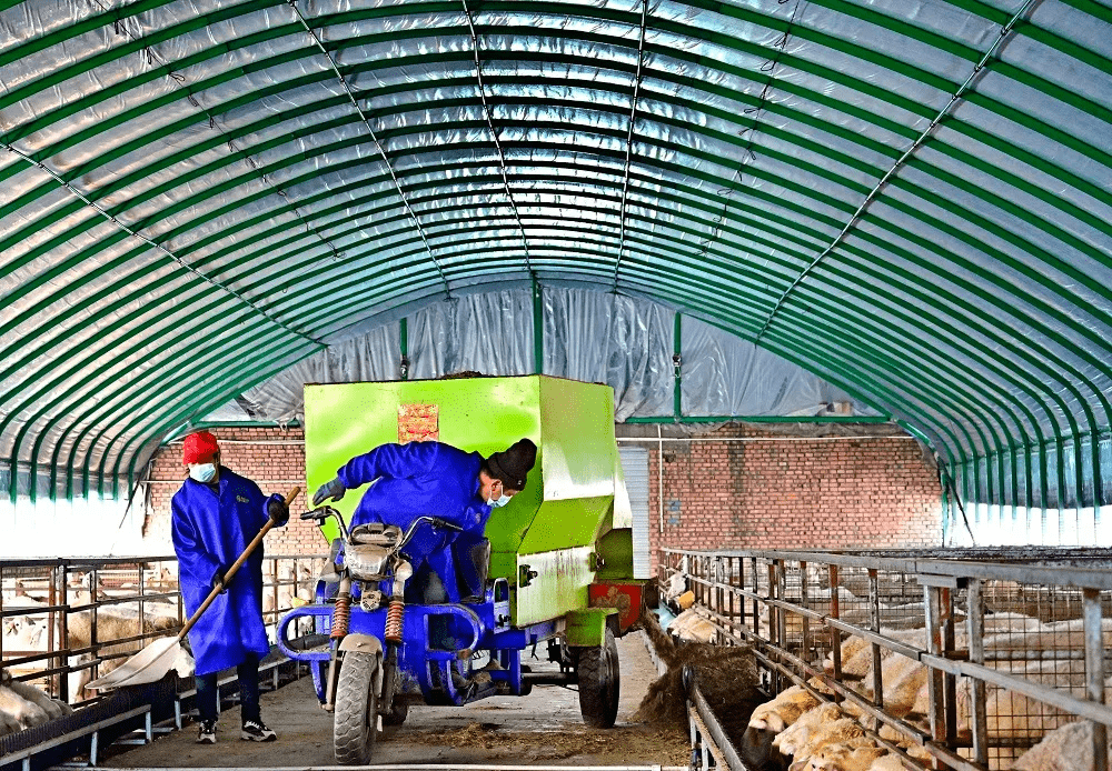 湖南东安 “羊产业” 成民众增收 “金钥匙”