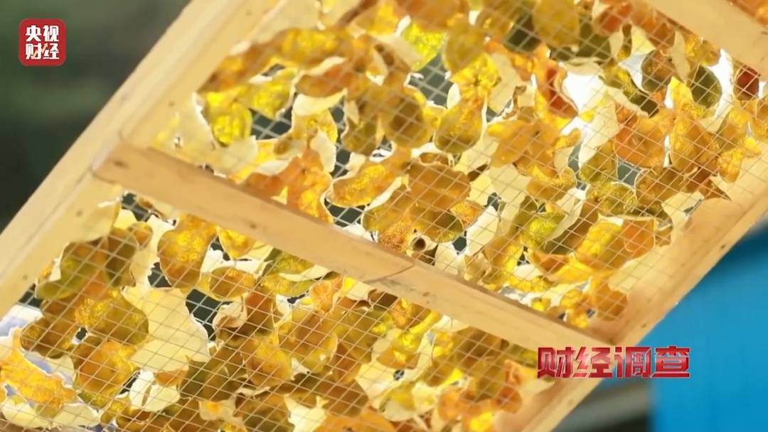 广西浦北通报“速成工艺陈皮”情况：对4家涉事市场主体作出处理