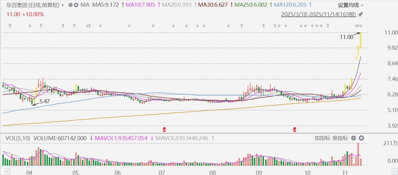 公募新发数量创近4年新高 股基赶超债基站上“C位”