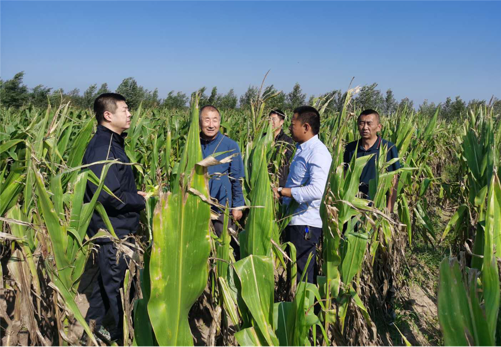 2026中国机器狗市场深度调研及投资前景分析_人保财险政银保 ,人保有温度