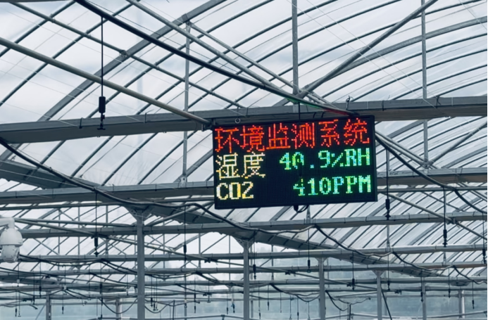 2026温室大棚项目可行性:“露地看天吃饭,大棚看数据吃饭。”_人保伴您前行,人保有温度