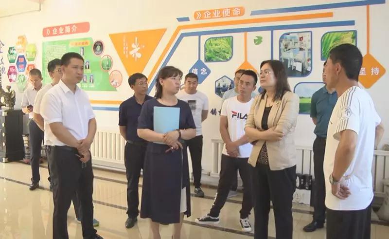 2026动漫产业深度调研及未来发展趋势预测_人保财险 ,人保护你周全