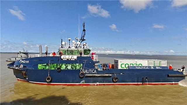 周咏梅：以全球治理倡议引领全球能源治理重回正轨