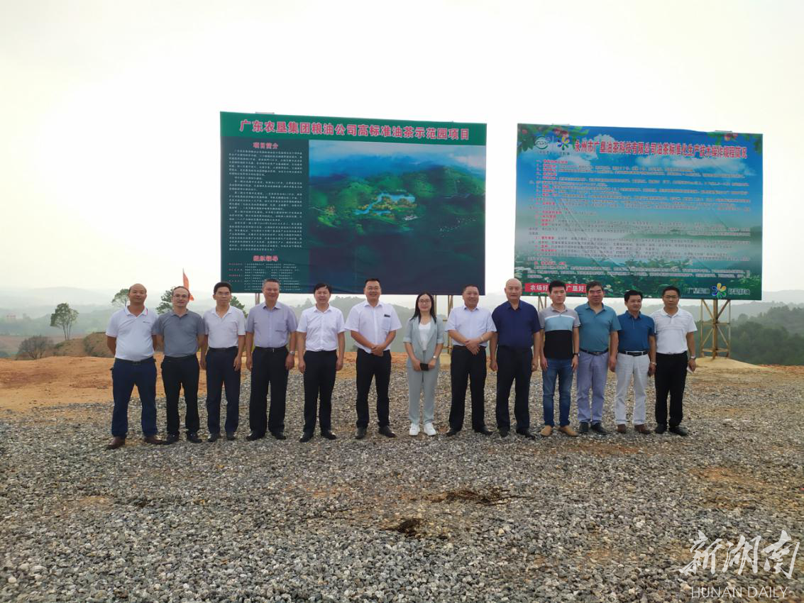 全产业链总产值预计18亿元 “中国油茶之乡”种活金种子