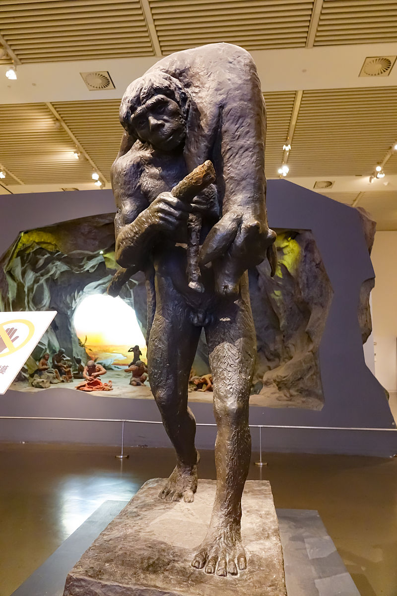 中国发现两亿多年前二齿兽新种化石 改写南北半球动物交流史