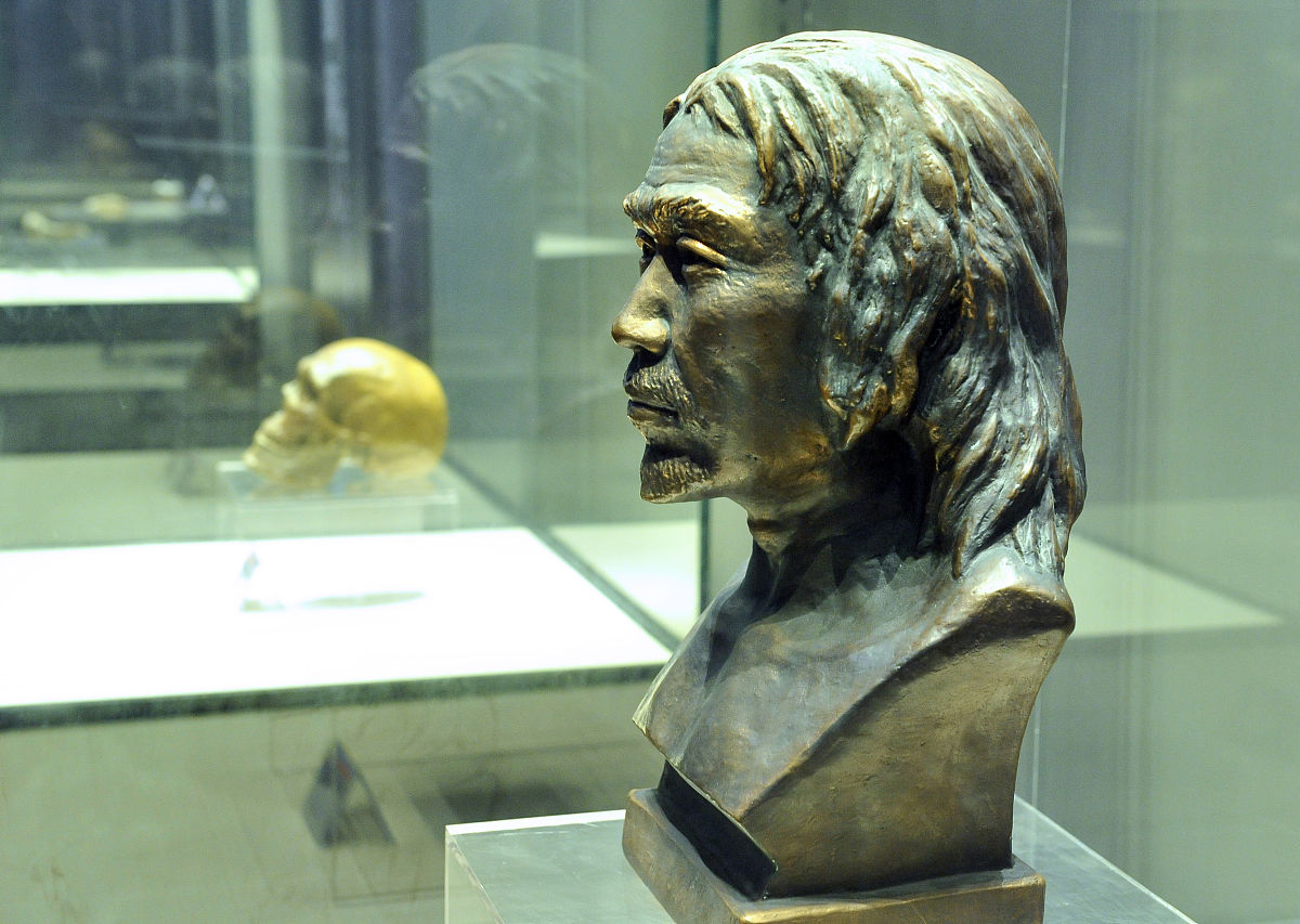 中国发现两亿多年前二齿兽新种化石 改写南北半球动物交流史