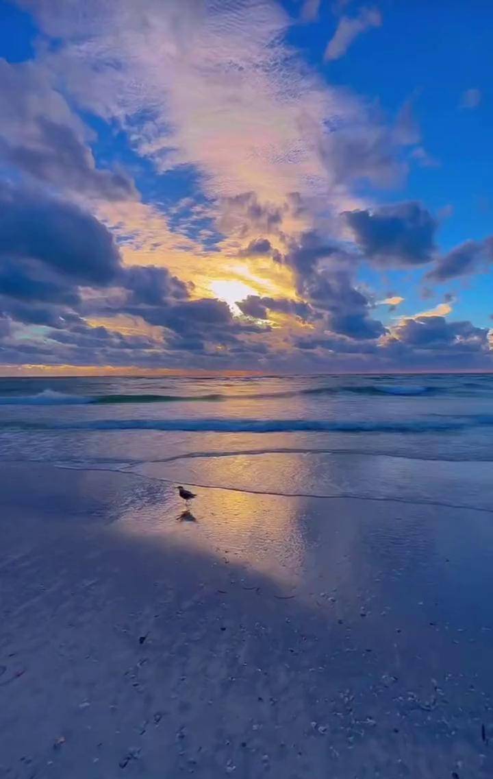 一半是海水一半是火焰 私募主题投资思路生变