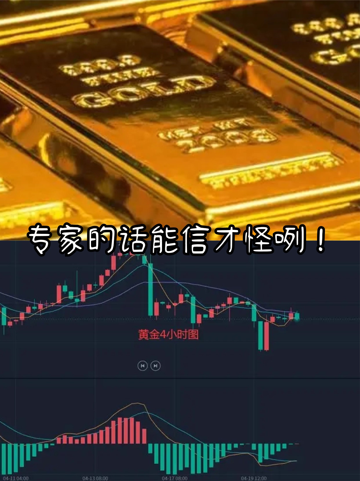 低利率遇见高股息，红利基金凭什么成为最稳“现金牛”？