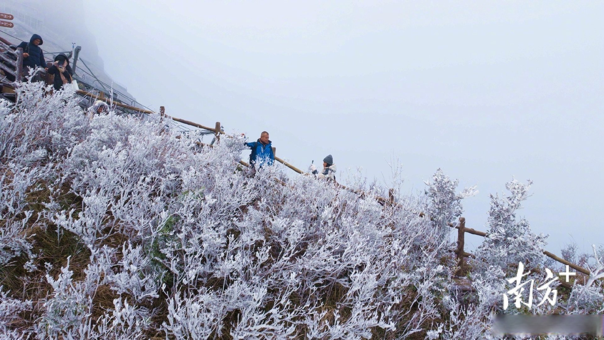 黑河逊克举办雾凇冰雪节 游客极寒天气赏“凇花绽放”