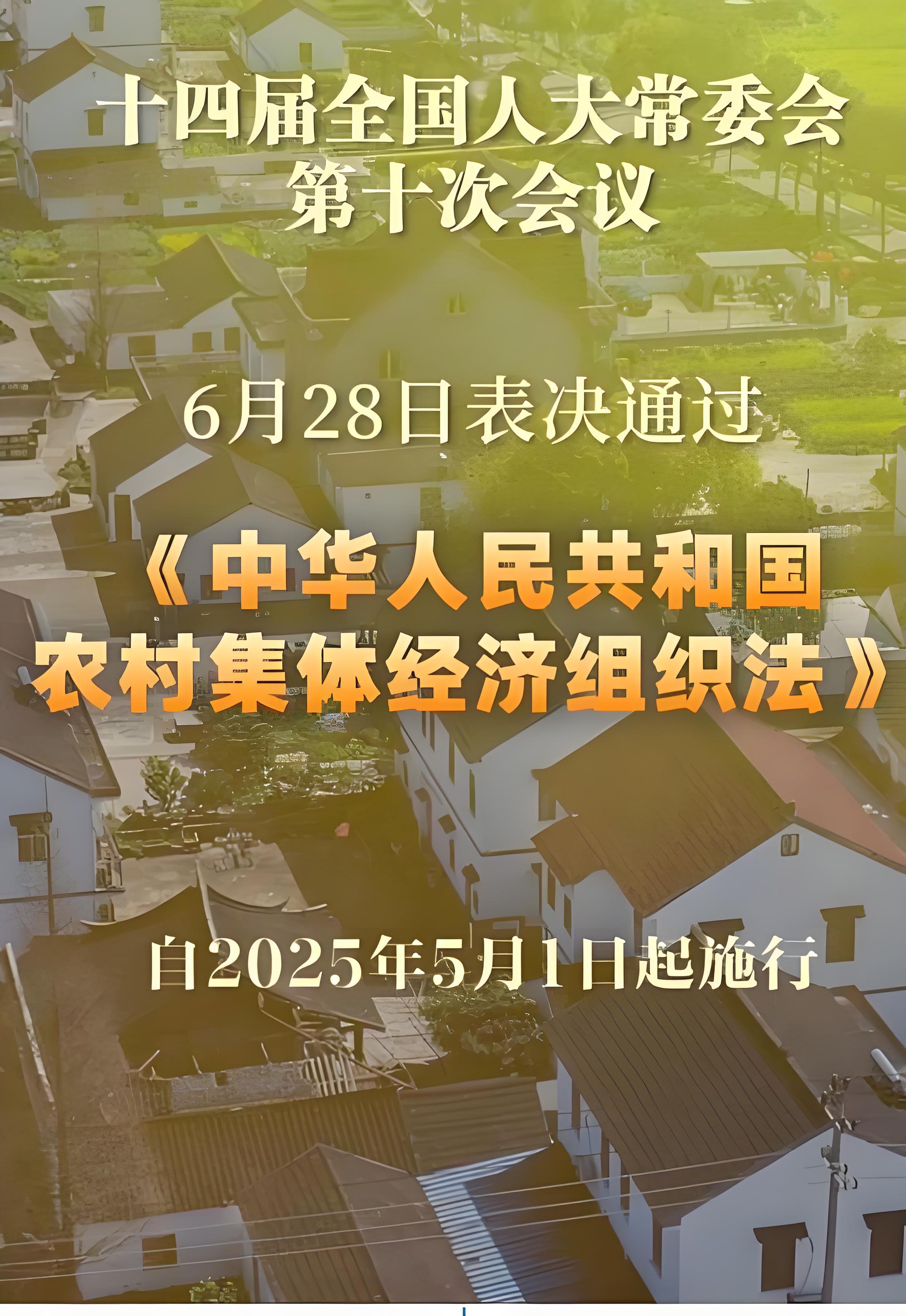 2025乡村振兴与产业发展大会聚焦提升农业“智力”