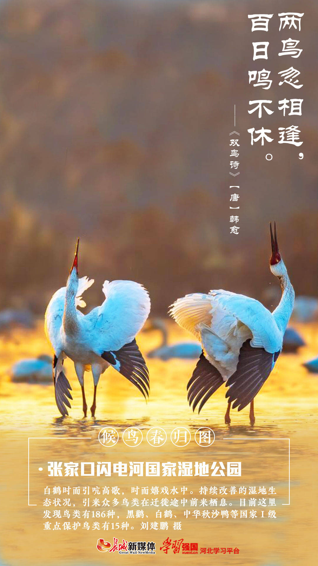 从“候鸟”到“筑巢”：广西城中村农民工成“新市民”