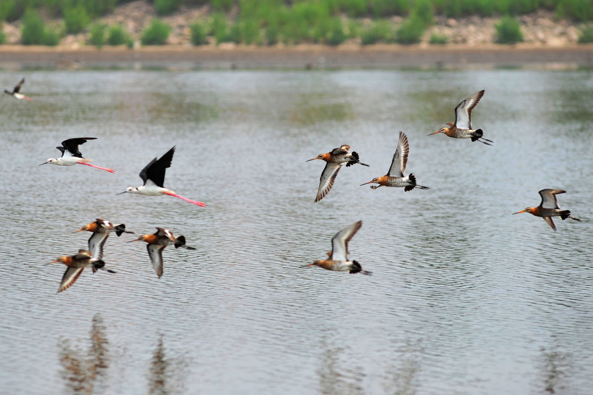 从“候鸟”到“筑巢”：广西城中村农民工成“新市民”