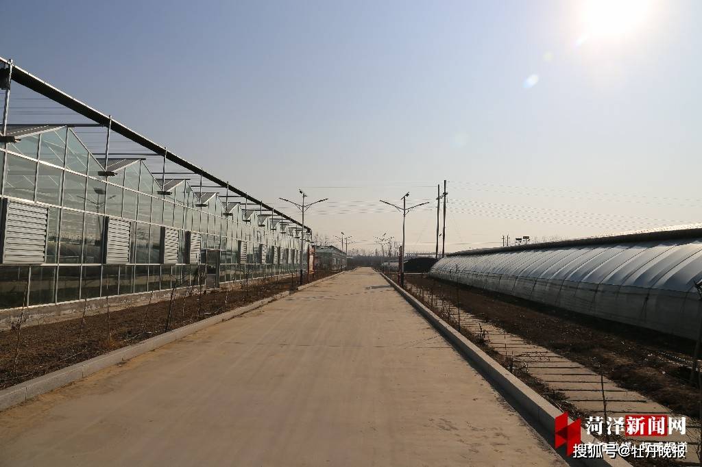 强镇观察:“产城人”融合如何擦亮国字号“金名片”?