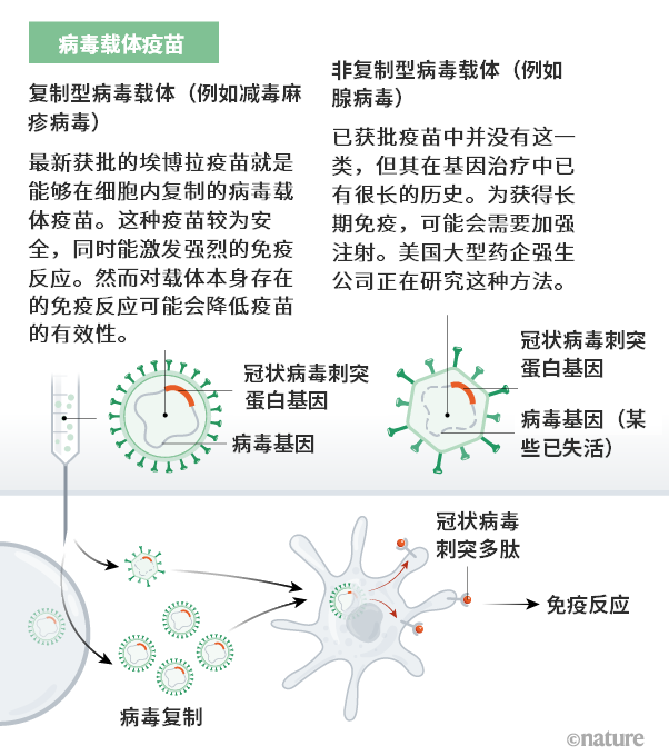 人保服务 ,保险有温度_2025年疫苗产业深度分析:现状剖析、前景展望与趋势洞察