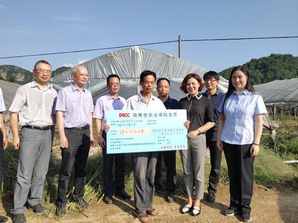 2026除草剂行业未来发展趋势预测及深度调研分析_保险有温度,人保服务 