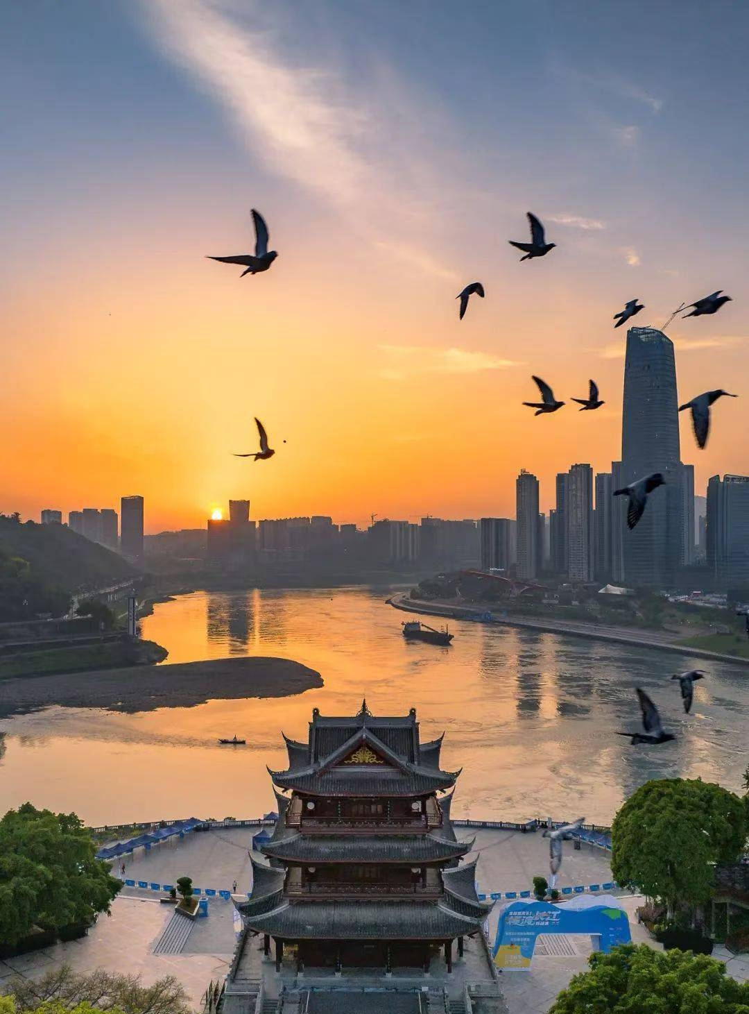 2026年酒业市场现状洞察与未来趋势展望_拥有“如意行”驾乘险，出行更顺畅！,人保护你周全