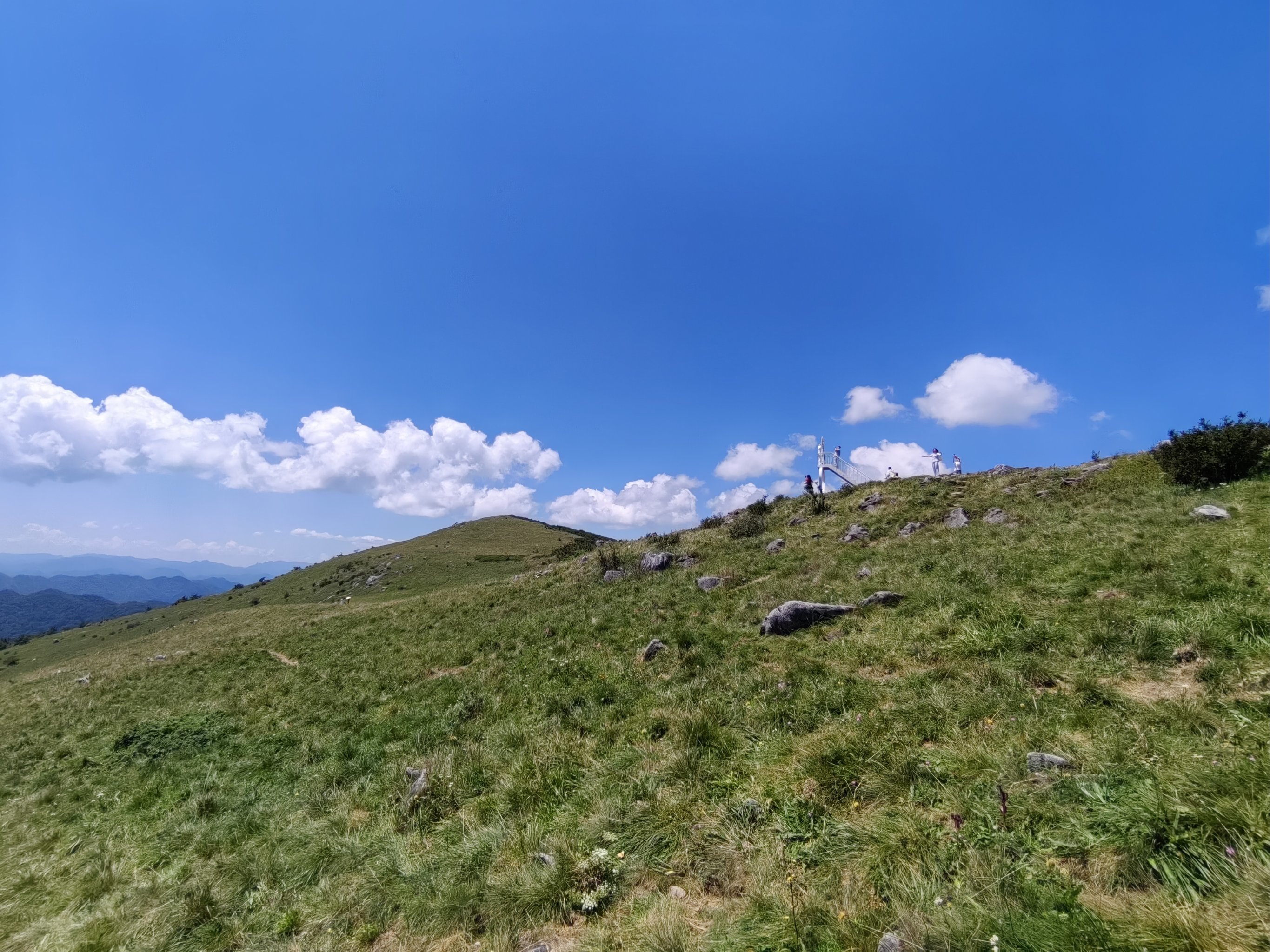 陕西宁陕：秦岭深处绘“绿卷”，生态“高颜值”变经济“高价值”